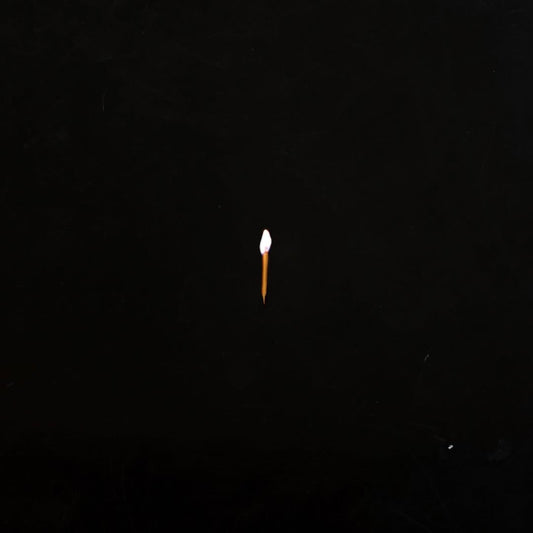 Chapter 1 [PRE-ORDER]